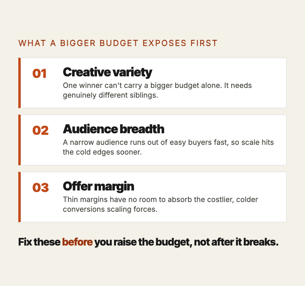 The three fundamentals a bigger budget exposes first: creative variety, audience breadth, and offer margin. Fix these before raising the budget, not after it breaks.